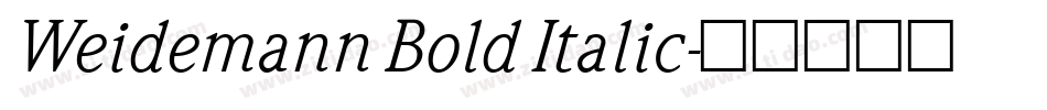 Weidemann Bold Italic字体转换